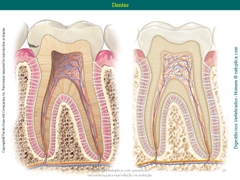 Diapositivo23