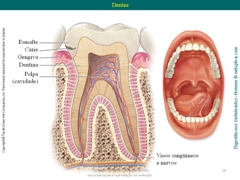 Diapositivo24