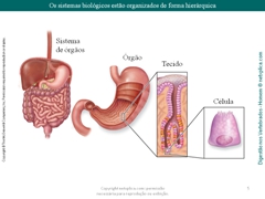 Diapositivo5