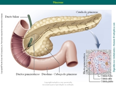 Diapositivo63