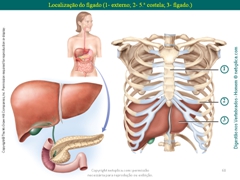 Diapositivo68