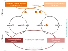Diapositivo102