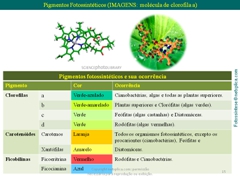 Diapositivo15