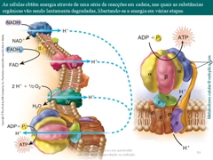 Diapositivo53