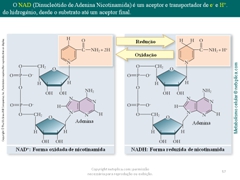 Diapositivo57