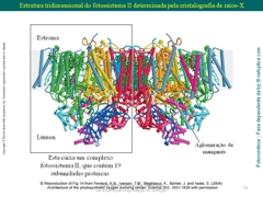 Diapositivo74