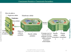 Diapositivo93