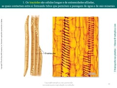 Diapositivo41