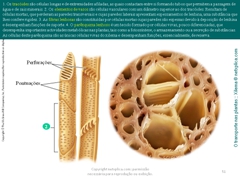 Diapositivo51