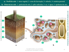 Diapositivo15