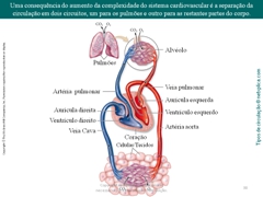 Diapositivo38