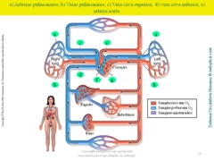 Diapositivo10