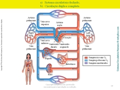 Diapositivo14