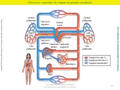 Diapositivo15