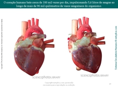 Diapositivo19