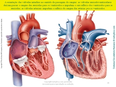 Diapositivo39