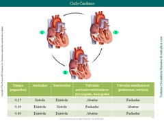 Diapositivo45