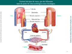 Diapositivo46