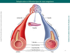 Diapositivo48