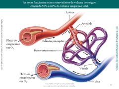 Diapositivo50