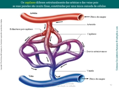 Diapositivo52