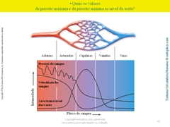 Diapositivo62