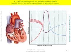 Diapositivo86