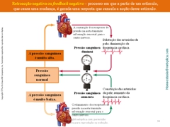 Diapositivo98