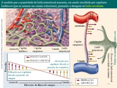 Diapositivo103