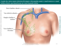 Diapositivo104