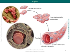 Diapositivo14