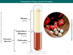 Diapositivo27