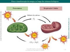 Diapositivo12