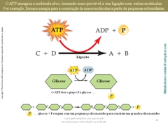 Diapositivo34