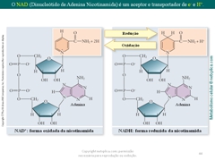 Diapositivo44