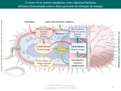Diapositivo48