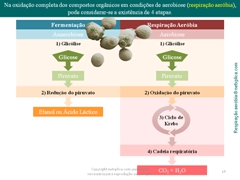 Diapositivo15