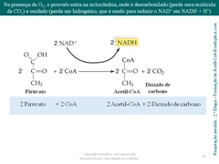 Diapositivo25