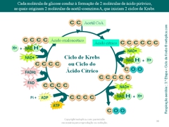 Diapositivo38