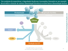 Diapositivo57