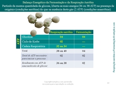 Diapositivo63