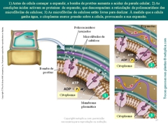 Diapositivo37