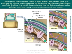 Diapositivo37