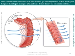 Diapositivo39