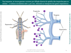 Diapositivo58