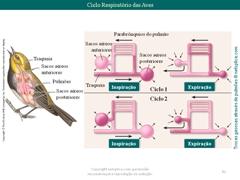 Diapositivo82