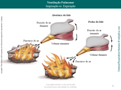 Diapositivo44