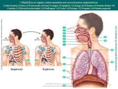 Diapositivo49