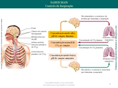 Diapositivo51