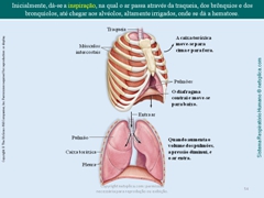 Diapositivo54